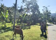 Ketahanan Pangan Desa: Peran Proaktif Bhabinkamtibmas dalam Edukasi Pekarangan Produktif