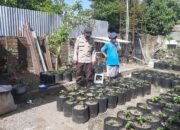 Meningkatkan Kemandirian Pangan: Bhabinkamtibmas Kuripan Utara Gelar Sosialisasi