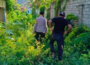 Membangun Kemandirian Pangan Lewat Inisiatif Bhabinkamtibmas Desa Perampuan