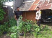 Polsek Kuripan Apresiasi Upaya Ketahanan Pangan Warga Jagaraga