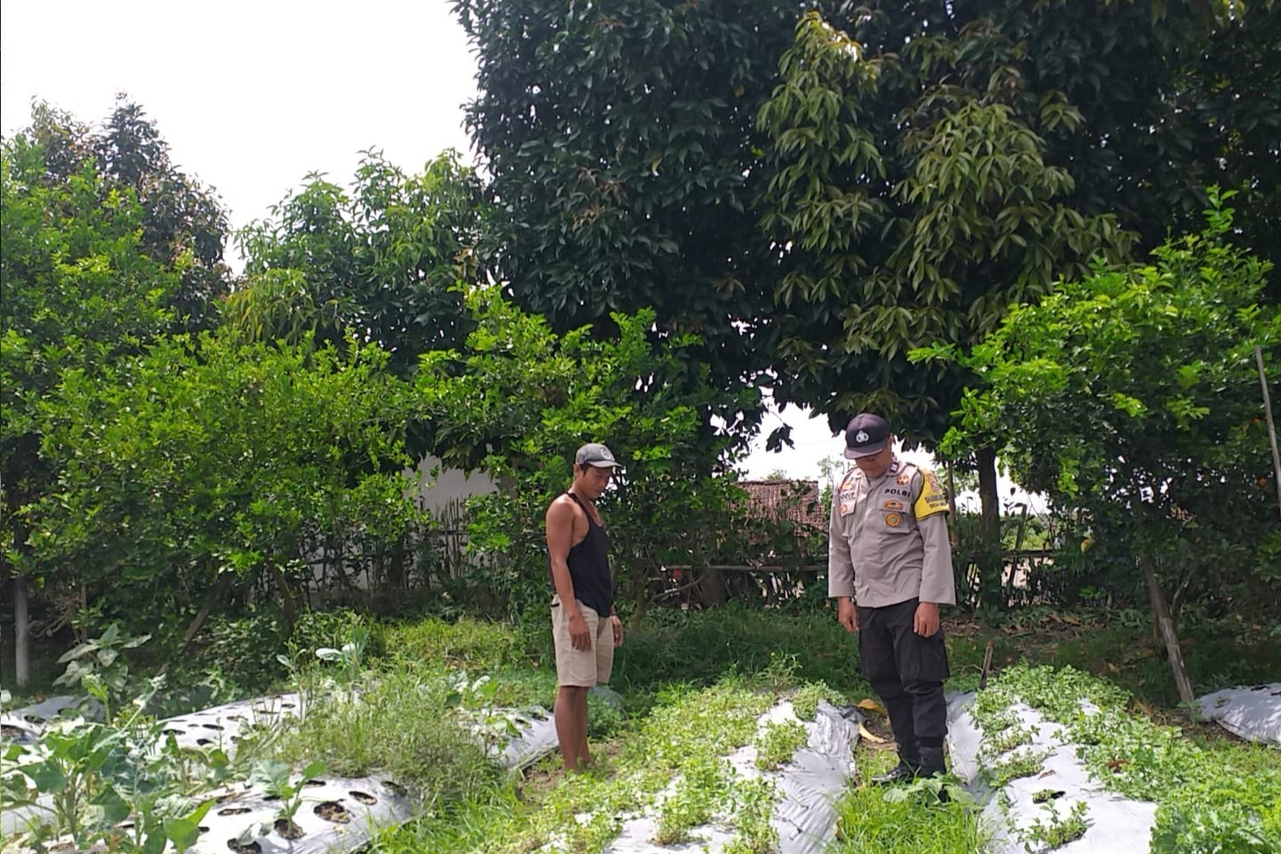 Sambang Warga, Bhabinkamtibmas Gaungkan Ketahanan Pangan Desa