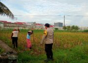 Sinergi Polri dan Warga Kembangkan Ketahanan Pangan Desa