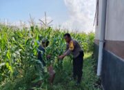 Sinergi Polri dan Masyarakat Desa Bagik Polak Barat Perkuat Ketahanan Pangan