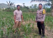 Bhabinkamtibmas Aktif Sosialisasi Ketahanan Pangan ke Warga Desa