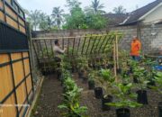 Bhabinkamtibmas Kuripan Sosialisasikan Pemanfaatan Lahan untuk Tanam Pangan