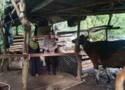 Sinergi Polri-Masyarakat Sukseskan Program Ketahanan Pangan Lokal