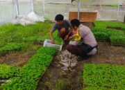 Strategi Polres Lombok Barat Tingkatkan Kemandirian Pangan Masyarakat Desa