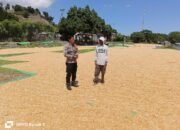 Bhabinkamtibmas Desa Hu’u Pantau Penjemuran Jagung, Imbau Warga Waspadai Curah Hujan