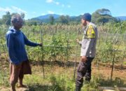 Bhabinkamtibmas Desa Ai Kangkung Dampingi Warga Kelola Pekarangan Pangan Bergizi, Dukung Ketahanan Pangan Lokal