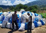 Dukung Swasembada Pangan, Bhabinkamtibmas Desa Talonang Baru Dampingi Panen Jagung