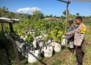 Bhabinkamtibmas Desa Katua Dorong Pemanfaatan Pekarangan untuk Tanaman Pangan