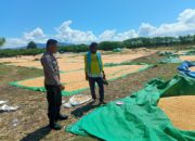 Dukung Ketahanan Pangan Nasional, Bhabinkamtibmas Desa Marada Pantau Langsung Proses Penjemuran Jagung Milik Warga