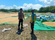 Dukung Ketahanan Pangan Nasional, Bhabinkamtibmas Desa Marada Pantau Langsung Proses Penjemuran Jagung Milik Warga