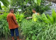 Dukung Ketahanan Pangan, Bhabinkamtibmas Seteluk Atas Pantau Lahan Pangan Bergizi Warga