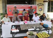 Dir Resnarkoba Polda NTB Datang Langsung Melihat Hasil Ungkap Kasus Narkoba yang Langka Oleh Polres Bima