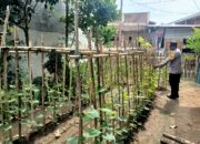 Asta Cita Swasembada Pangan, Bhabinkamtibmas Desa Beru Aktif Monitoring Ketahanan Pangan Desa