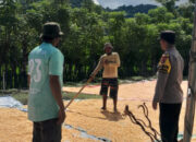 Dukung Ketahanan Pangan, Bhabinkamtibmas Desa Daha Pantau Penjemuran Jagung Milik Warga