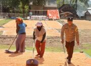Bhabinkamtibmas Polres Bima Kota Pantau dan Bantu Warga Jemur Jagung di Desa Binaan