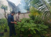 Polres Loteng Pastikan Pendistribusian Makanan Bergizi Gratis (MBG) Dukung Program Presiden RI.  ‎