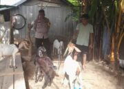 Sinergi Polisi dan Warga Wujudkan Kemandirian Pangan