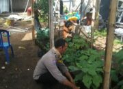 Polres Lombok Tengah Terus Gelorakan Program Pekarangan Bergizi di Tengah Masyarakat