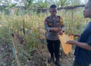 Polres Lombok Tengah Gencarkan Program Pekarangan Bergizi Dukung Ketahanan Pangan Nasional dan Asta Cita Presiden.