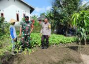 Polres Loteng Tinjau Lahan Pekarangan Pangan Bergizi Milik Warga di Kopang