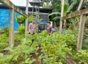 Polres Loteng Apresiasi Masyarakat Manfaatkan Lahan Pekarangan Bergizi.