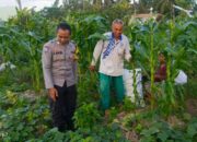 Polres Lombok Barat Dorong Ketahanan Pangan dari Desa Kuripan Utara