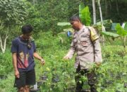 Program Pangan Mandiri Polri di Desa Batulayar NTB