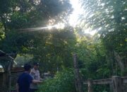 Bhabinkamtibmas Desa Senayan Galakkan Pemanfaatan Pekarangan untuk Tanaman Pangan Bergizi