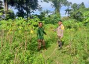 Bhabinkamtibmas Kandai 1 Dukung Pemanfaatan Pekarangan untuk Ketahanan Pangan Menuju Indonesia Emas 2045