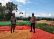 Bhabinkamtibmas Desa Cempi Jaya Lakukan Pemantauan Hasil Panen Warga Dukung Program Ketahanan Pangan Nasional