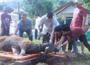 Kapolres Sumbawa Barat Pimpin Pemotongan Hewan Kurban