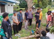 Keluarga Besar Polsek Manggelewa dan Bhayangkari Berbagi Daging Kurban di Hari Raya Iduladha 1446 H