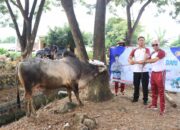 Polres Dompu Sembelih 22 Hewan Kurban, Bagikan Ratusan Paket Daging ke Warga Tak Mampu dan Pondok Pesantren