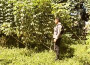 Sambut HUT Bhayangkara Ke-79 Polres Bima dan Polsek Jajaran Menggelar Lomba Ketahanan Pangan Nasional