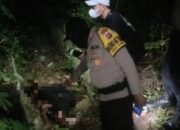 Mayat Pria Tak Dikenal Ditemukan di Lape, Diduga Korban Amukan Massa Pencurian