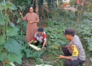 Dukung Program Ketahanan Pangan Nasional, Bhabinkamtibmas Polsek Monta Tinjau Lahan Sayur Warga Binaan