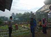 Bhabinkamtibmas Desa Goa Dampingi Warga Wujudkan Ketahanan Pangan Lewat Pekarangan Bergizi