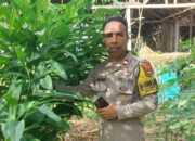 Bhabinkamtibmas Polsek Bolo, Dukungan Pemanfaatan Lahan Pekarangan Untuk Ketahanan Pangan