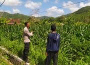 Polri dan Petani Dusun Jelateng Baru Bersinergi Jaga Ketahanan Pangan