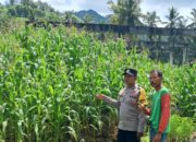 Polsek Sekotong Galakkan Pekarangan Pangan Bergizi di Dusun Pelangan Tengah