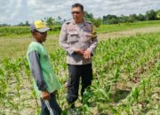 Bhabinkamtibmas Telagawaru Ajak Petani Wujudkan Swasembada Pangan Keluarga