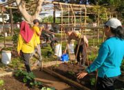 Sinergi Polri–Petani: Optimalisasi Lahan Pekarangan di Desa Kuripan Utara