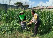 Polsek Labuapi Edukasi Warga Desa Jerneng untuk Perkuat Ketahanan Pangan