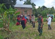 Dusun Dawung Jadi Lokasi Strategis Penanaman Jagung Serentak Polsek Batulayar