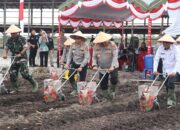 Sukseskan Ketahanan Pangan Nasional, Polda Kalteng dan Polresta Palangka Raya Tanaman Jagung di Rakumpit
