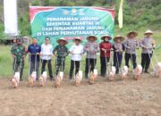 Polres Sumbawa Barat Gelar Tanam Jagung Kuartal III dan Pohon Keras Serentak Dukung Ketahanan Pangan Nasional