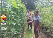 Wujudkan Ketahanan Pangan, Bhabinkamtibmas dan Warga Desa Luk Ubah Pekarangan Jadi Kebun Produktif